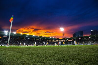 (c) Sturm Tifo