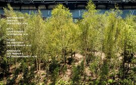ballesterer 147: Fußball For Future