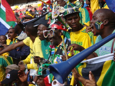 (c) Shine 2010 - 2010 World Cup good news
